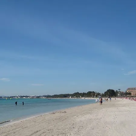 Minerva * Port de Alcudia (Mallorca)
