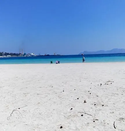 Minerva Port de Alcudia (Mallorca)