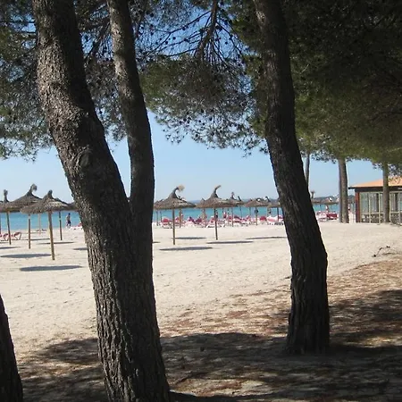 Minerva Port de Alcudia (Mallorca)